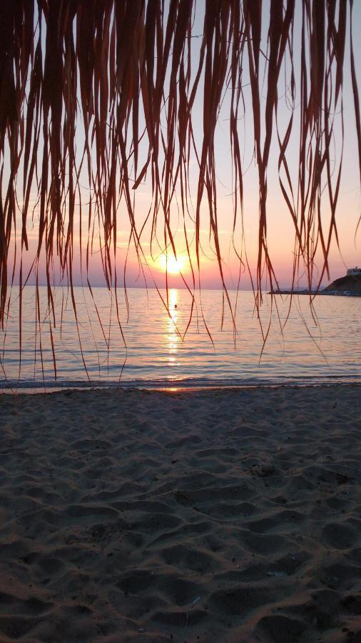 Silver Moon Kini Phòng bức ảnh